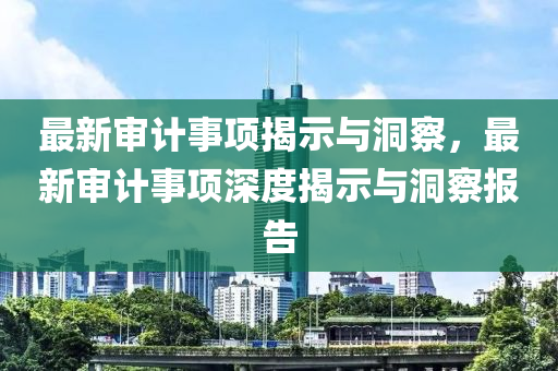 最新审计事项揭示与洞察,最新审计事项中山市多米克自动化设备有限公司深度揭示与洞察报告