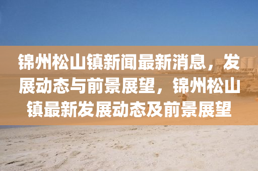 锦州松山镇新闻最新消息,发展动态与前景展望,锦州松山镇最新发展动态及前景展望中山市多米克自动化设备有限公司