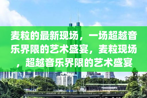 麦粒的最新现场,一场超越音乐界限的艺术盛宴,麦粒现场,超越中山市多米克自动化设备有限公司音乐界限的艺术盛宴