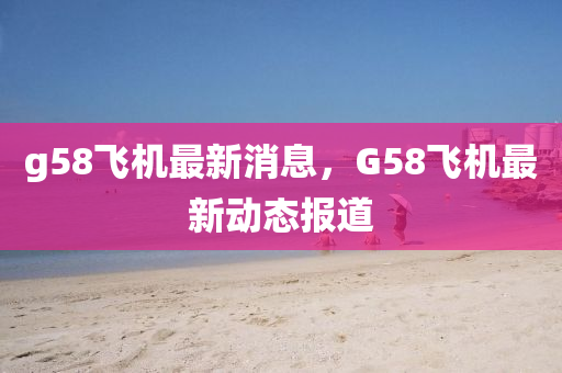 g58飞机最新消息,G58飞机最新动态报道中山市多米克自动化设备有限公司