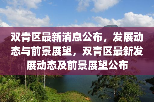 双青区最新消息公布,发展动态与前景展望,双青区最新发展动态及前景展望公布中山市多米克自动化设备有限公司