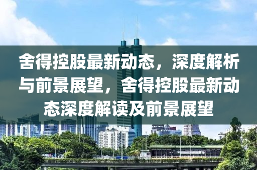舍得控股最新动态,深度解析与前景展望,舍得控股最新动态深度解读及前景展望中山市多米克自动化设备有限公司