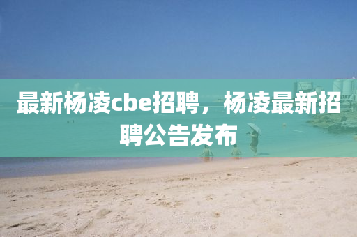 中山市多米克自动化设备有限公司最新杨凌cbe招聘,杨凌最新招聘公告发布