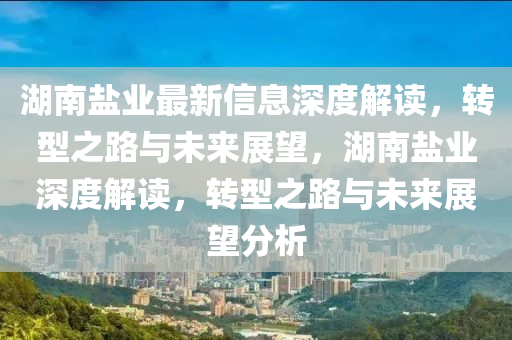 湖南盐业最新信息深度解读,转型之路与未来展望,湖南盐业深度解读,转型之路与未来展望分析中山市多米克自动化设备有限公司